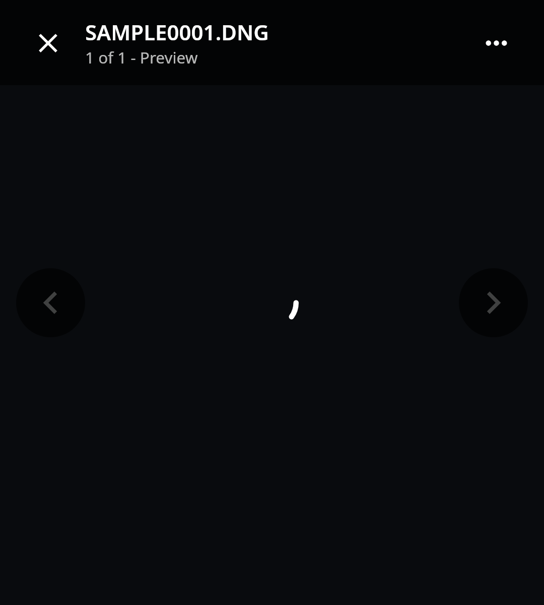 Photos RAW preview: Loading embedded preview