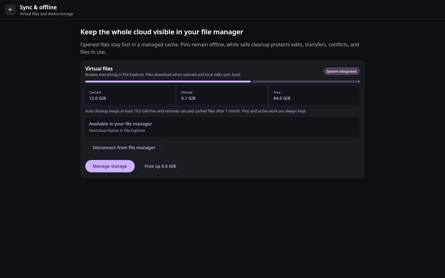 Virtual files Storage overview: Hydrated cache, pins, and free-up action