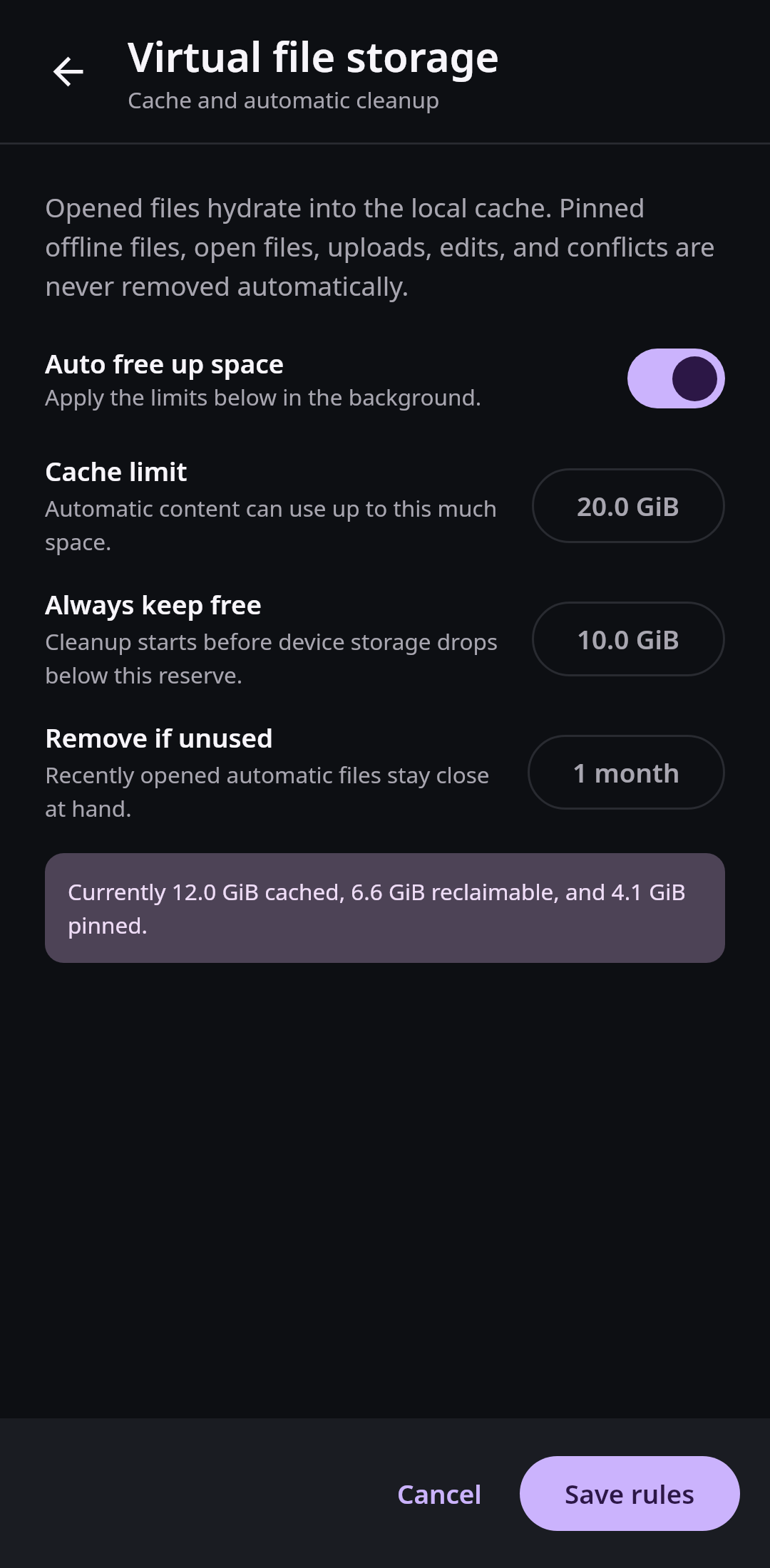 Virtual files Storage rules: Automatic cleanup with protected pins